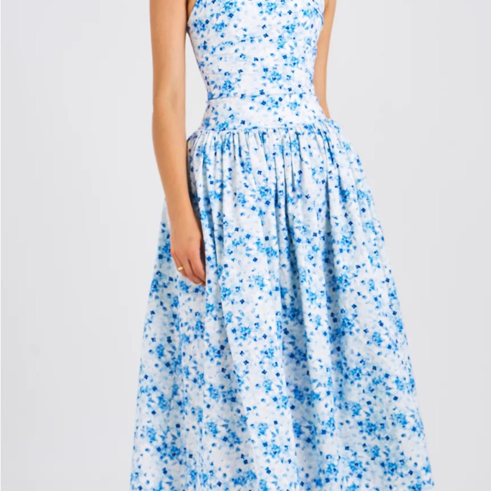 Paloma Blue Print Linen Corset Draping Top Midi Dress